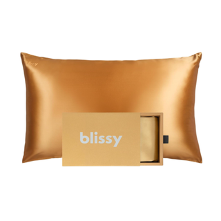 Blissy Silk Pillowcase - 100% Pure Mulberry Silk - 22 Momme 6a High-Grade Fibers - Silk Pillow Cover for Hair & Skin - Regular, Queen & King With Hidden Zipper (standard, Silver)