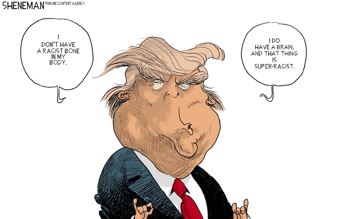 Political Cartoon U.S. Racist Bone Trump Tweets Brain