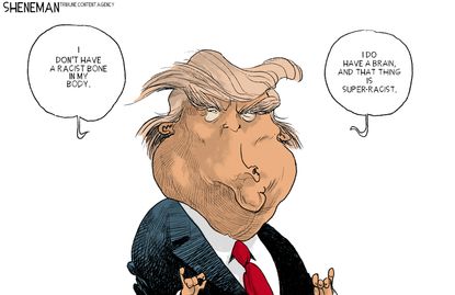Political Cartoon U.S. Racist Bone Trump Tweets Brain