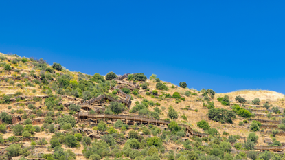Parque Arqueologico Vale do Coa (Coa valley), UNESCO site