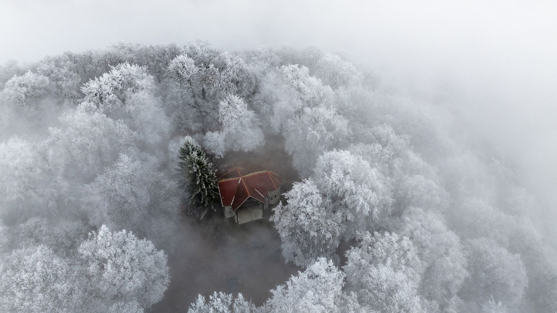 
                                Hoarfrost covers the trees surrounding a forest chapel near Karancslapujtő, Hungary
                            