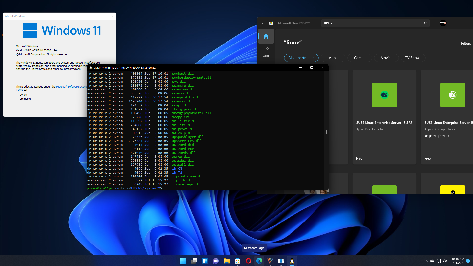 install windows 11 after linux mint