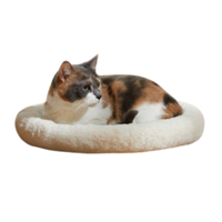 Frisco Self-Warming Bolster Kitten Bed