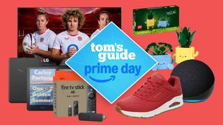 Compilation showing an LG OLED TV, Kindle, Fire TV Stick, Lego set, Skechers sneaker, Echo Dot smart speaker