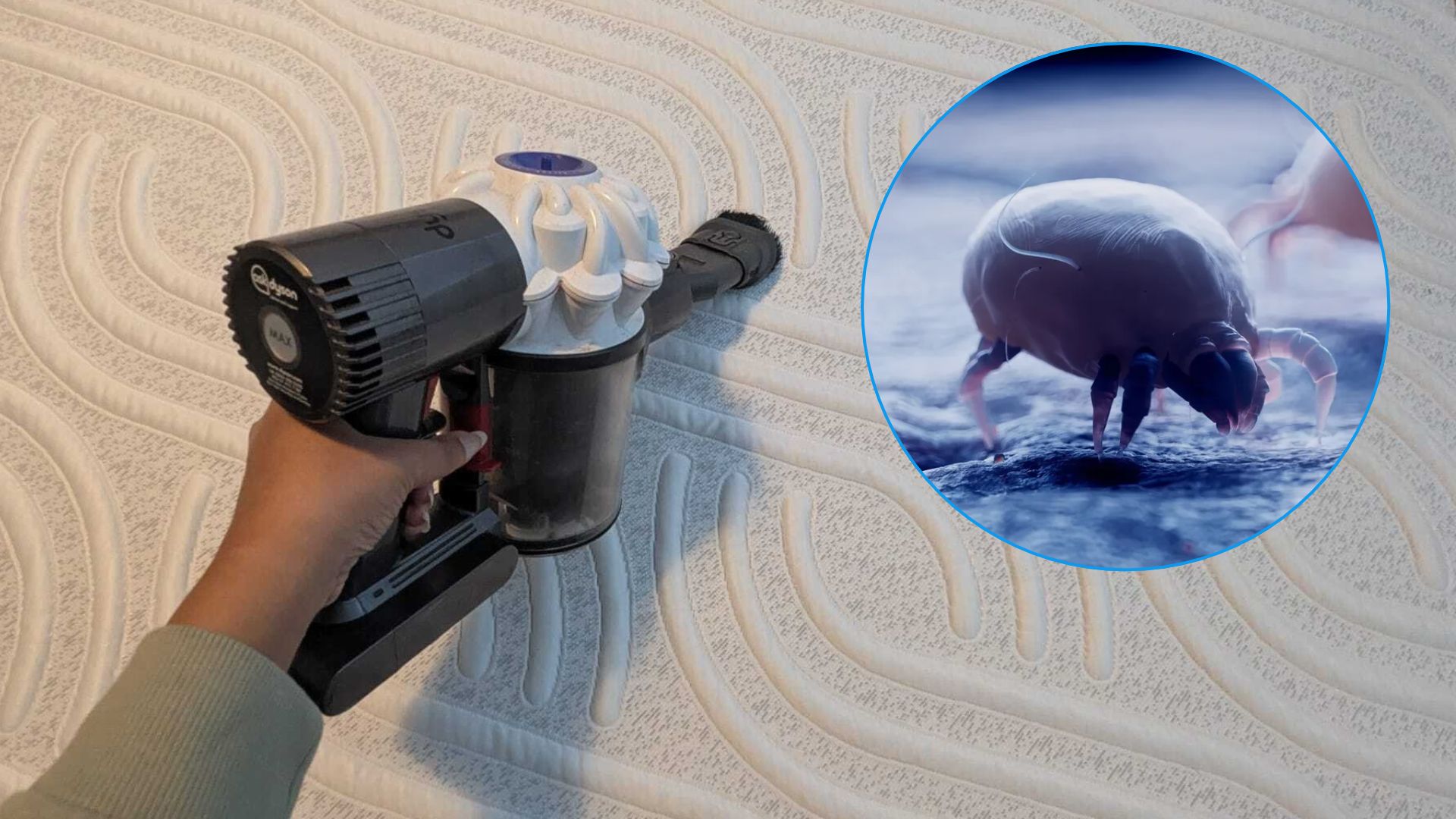 The image shows a hand holding a handheld mattress vacuum, placed on top of a white mattress. Inset is a close up image of a dust mite.