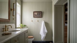 Stop Painting Your Bathroom White – Designers Say Color Drenching is the Chicest Way To Create a Cozy, Calming Space