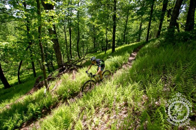 Greg Jancitis rolls down the enduro segment off of the Tussey Ridge
