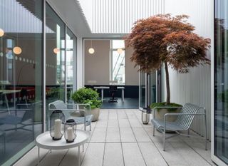 Outside space with a planted tree and chairs
