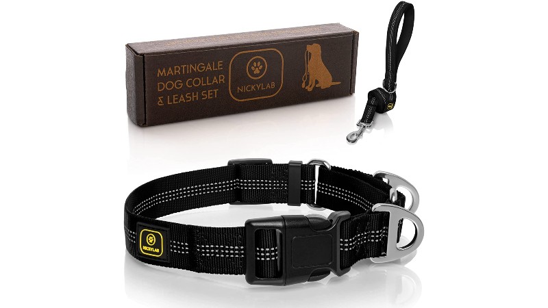 NICKYLAB martingale dog collar and leash
