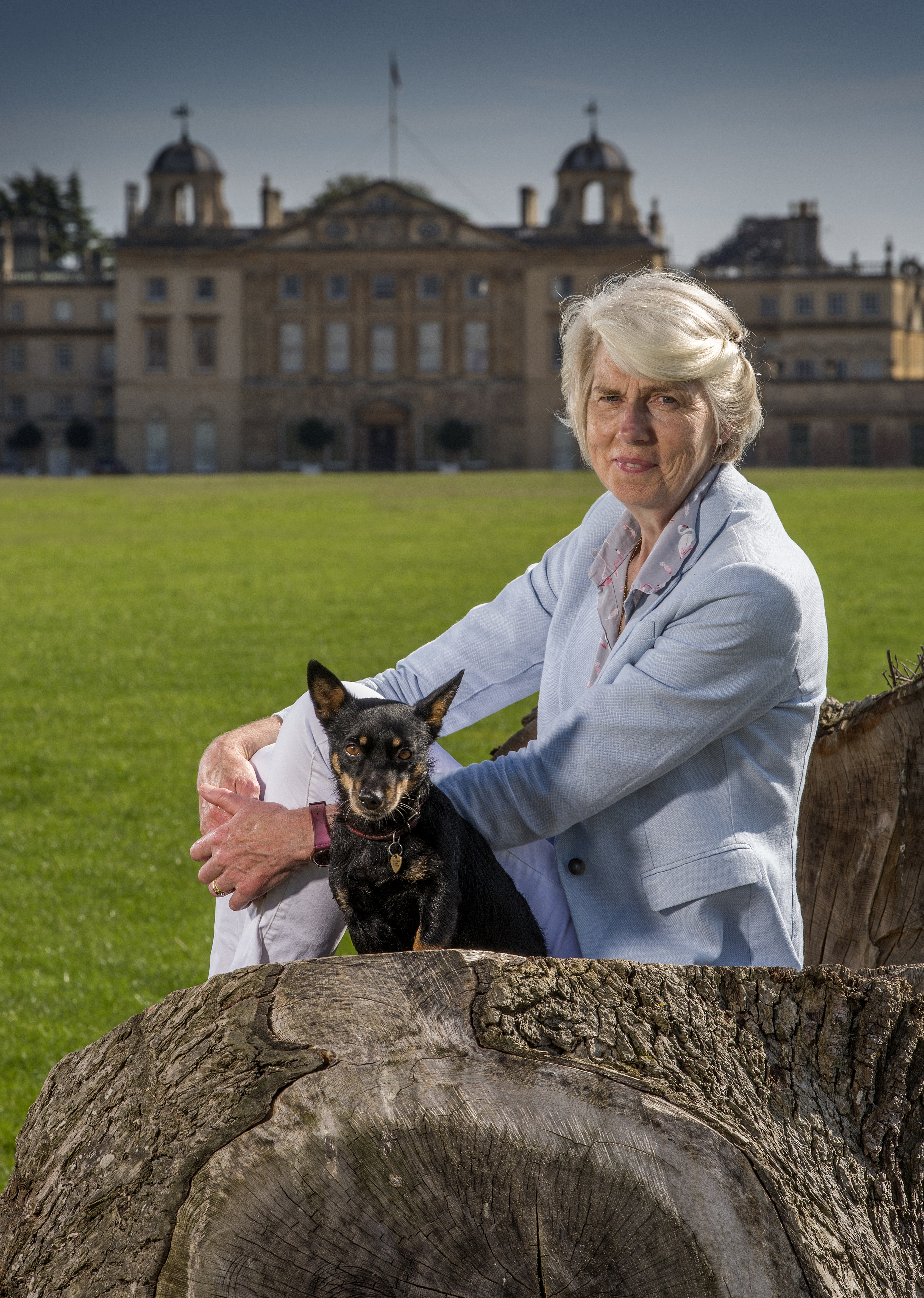 Four photos showing a woman with short white hair and a small black and tan Lancashire Heeler spending time together outdoors on a sunny day. They are pictured in front of a stately home, sitting on and beside large tree trunks, standing on grass terraces, and relaxing in long grass, capturing their close bond and the scenic surroundings.