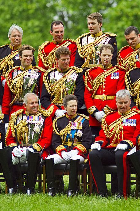 Marching band, Team, Brass instrument, Musician, Uniform, Musical instrument, Event, Horn, Musical ensemble, Alto horn,