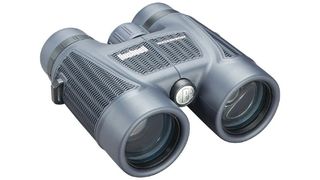 Bushnell H2O roof prism binoculars
