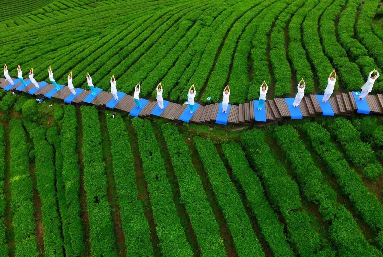 People practice yoga at a park.