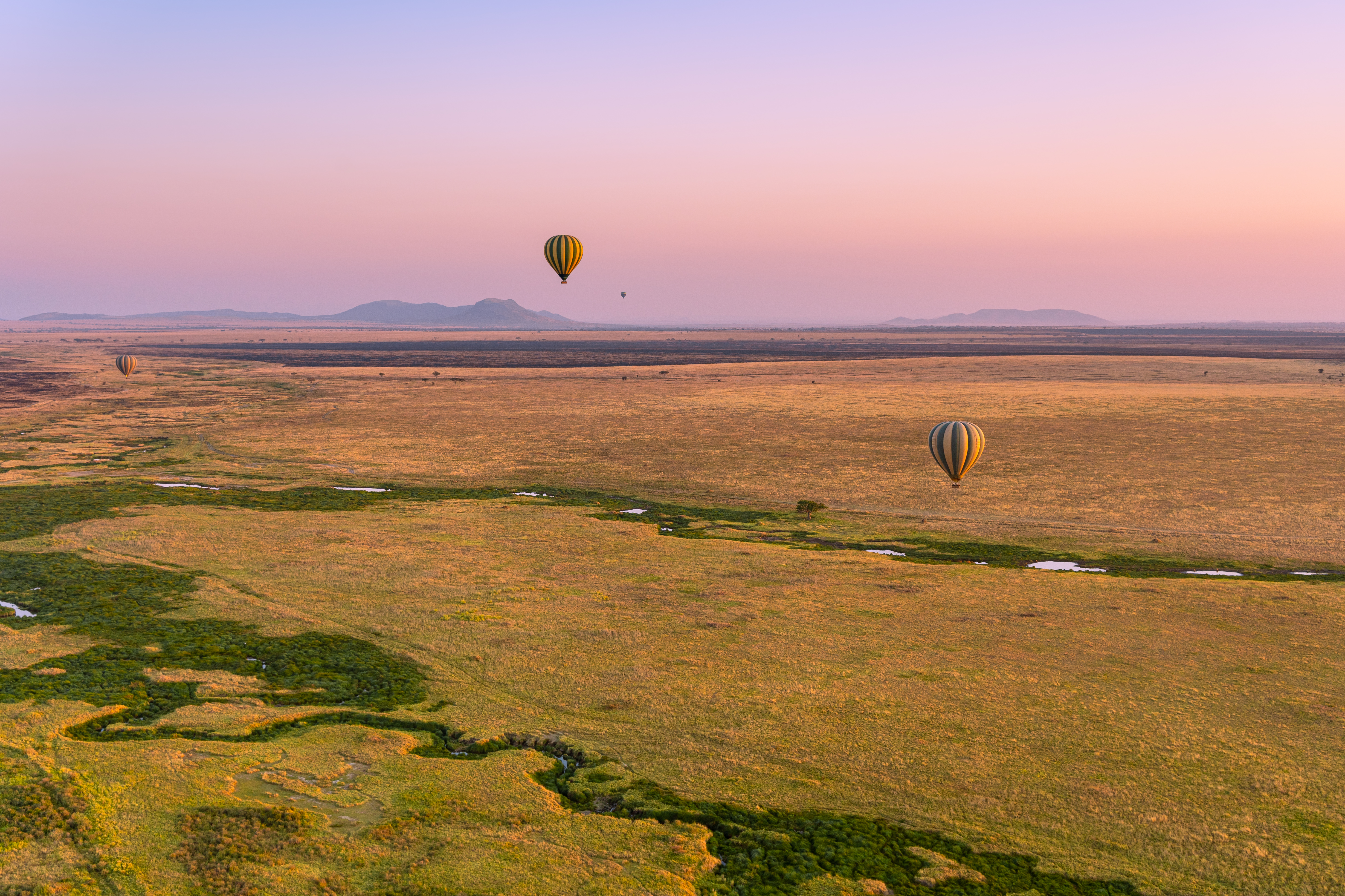 Hot air balloons dot the sky at sunrise over the Serengeti in Tanzania