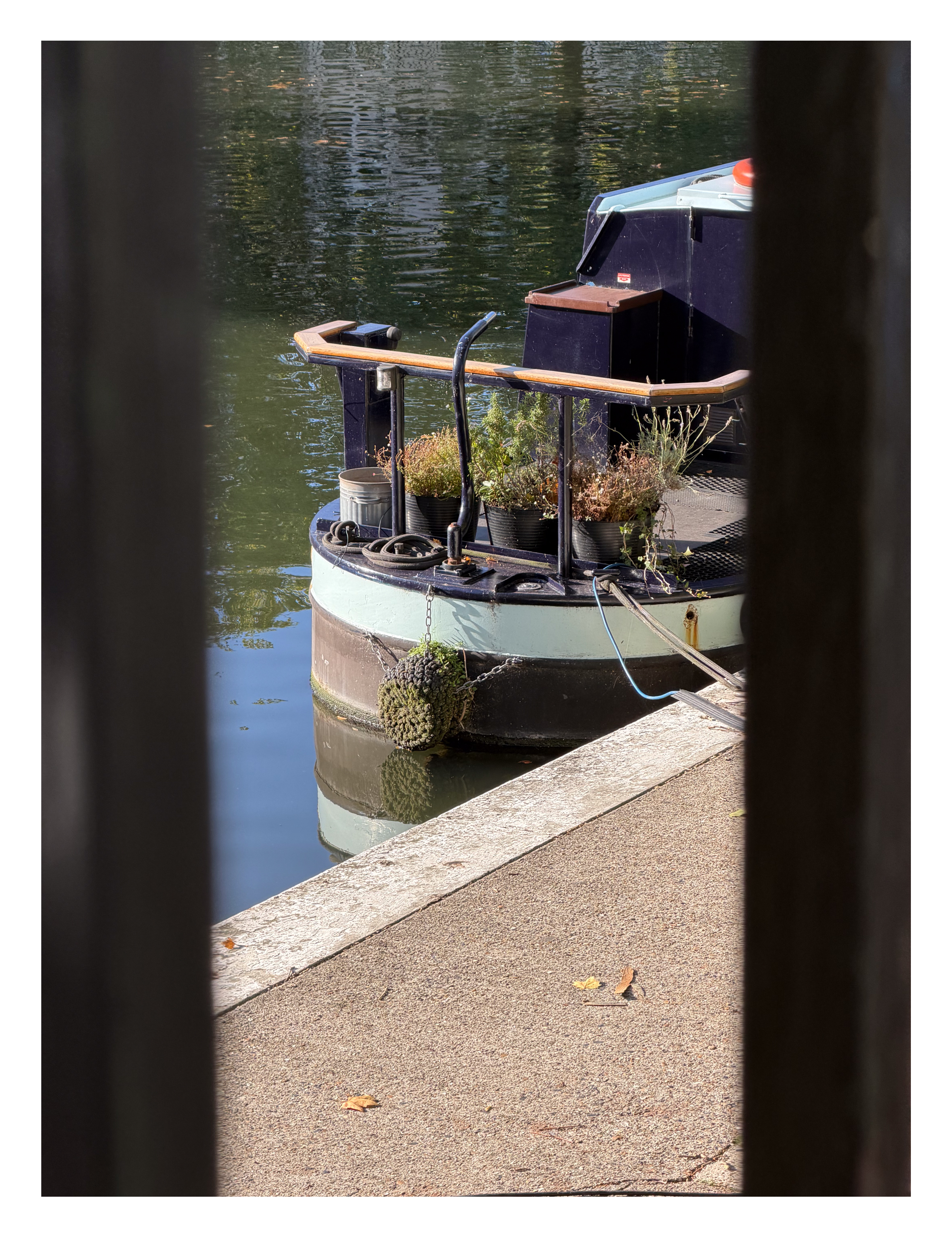 A canal boat with plants