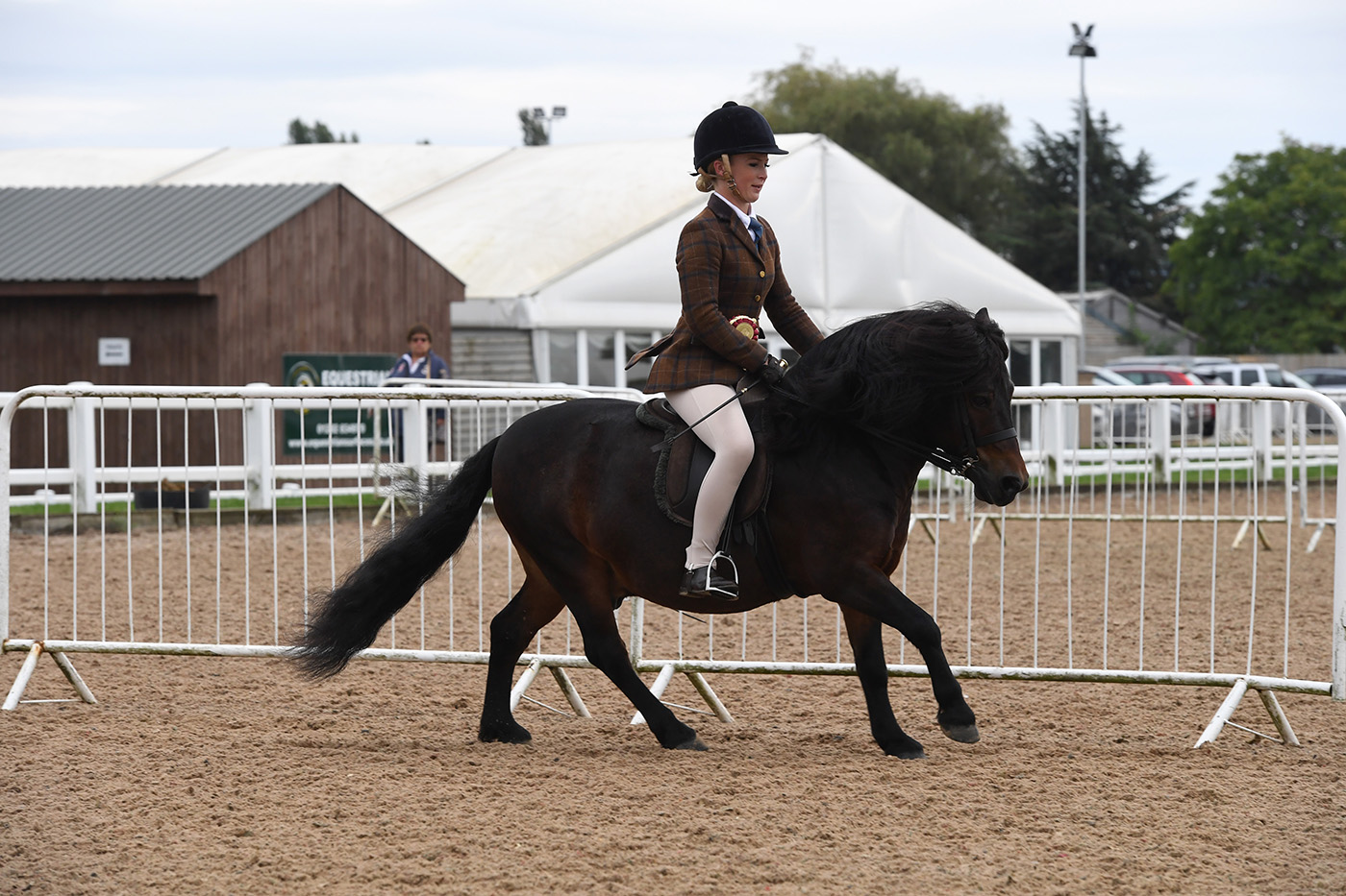 Heritage Show 17.10.21CL 83No. 197 Sharptor Tricolore Jess Talbot
