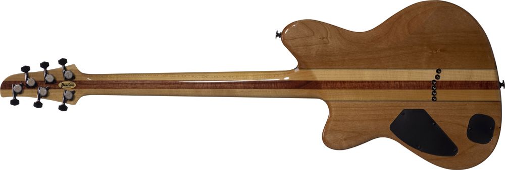 Ibanez guitar