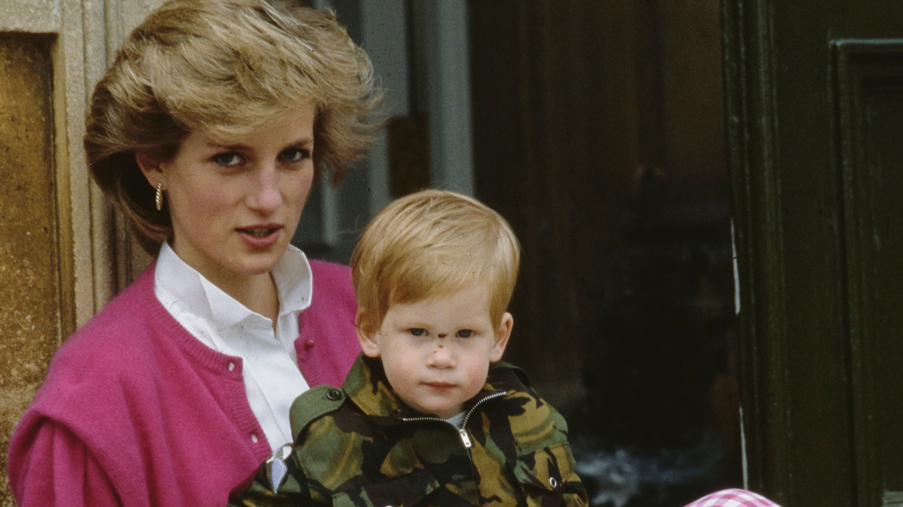 Princess Diana With Prince Harry