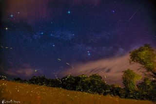 Firefly Trails Under Milky Way