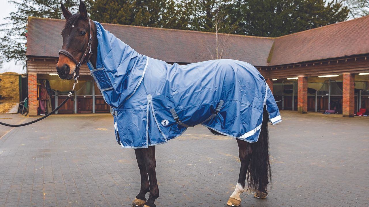 Derby House Elite detach-a-neck turnout review