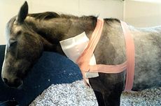 after-first-surgery.jpg
