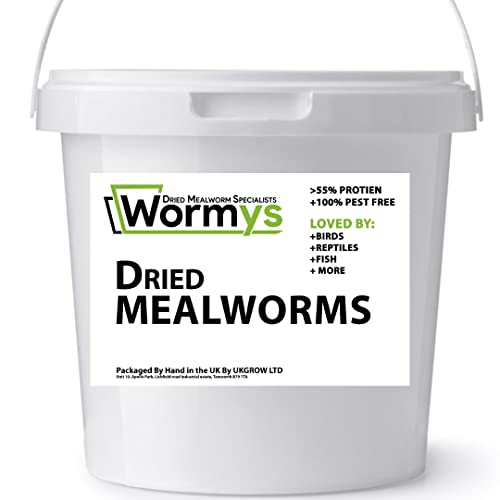 Hand Selected Premium Dried Mealworm Buckets (2l Bucket)