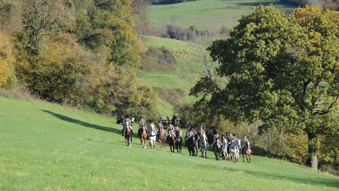 Trail-hunting horses, riders and hounds crossing a field