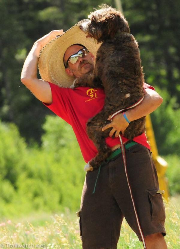 The luckiest dog on the mountain