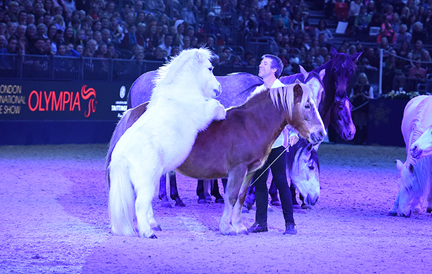 ShetlandGN_OlympiaPN15_59951