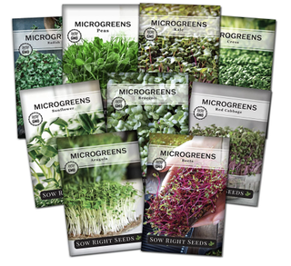 microgreens seeds