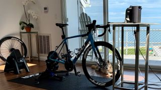 Kristen Kulchinsky's pain cave set-up