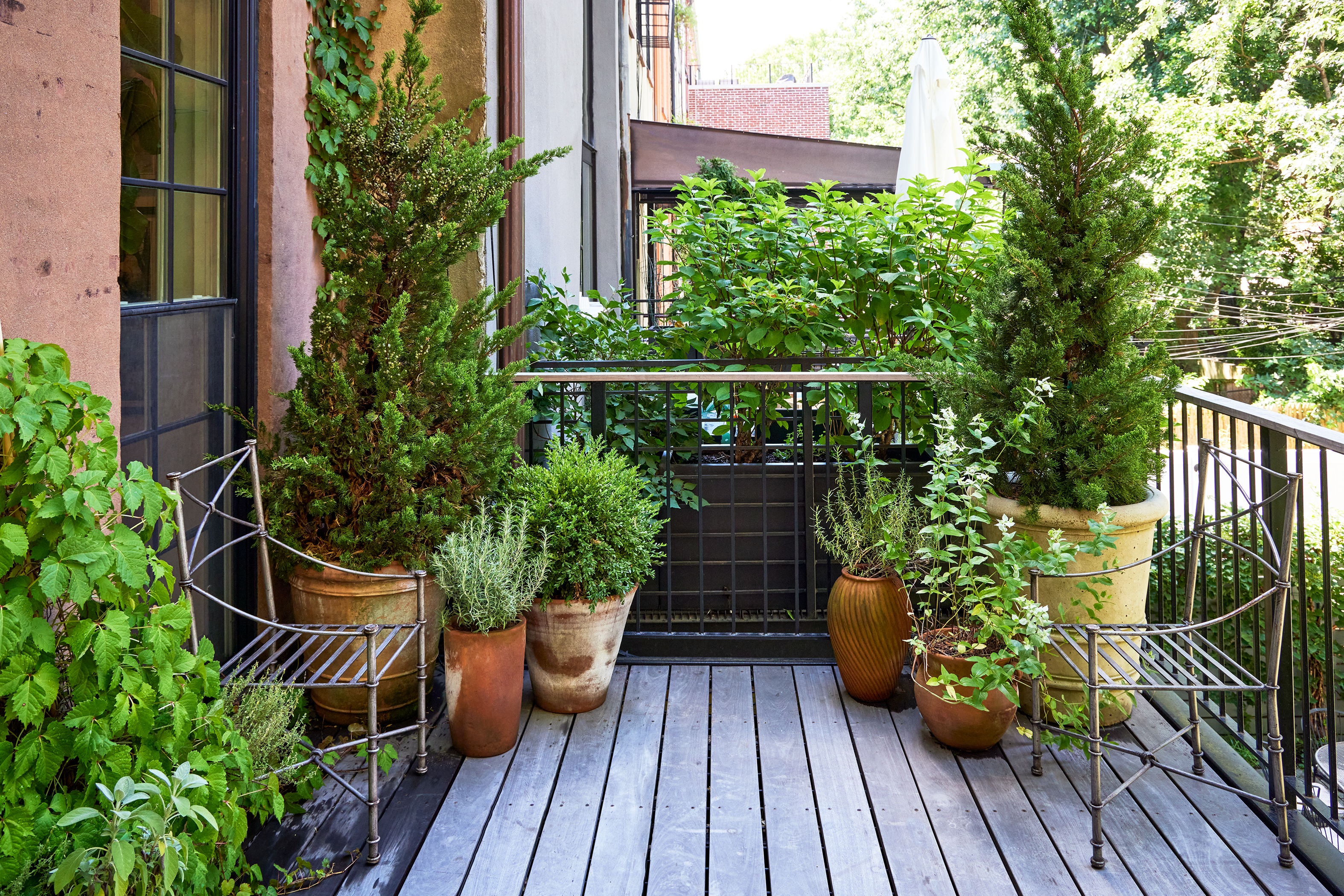 Barbara Bush Brooklyn Backyard