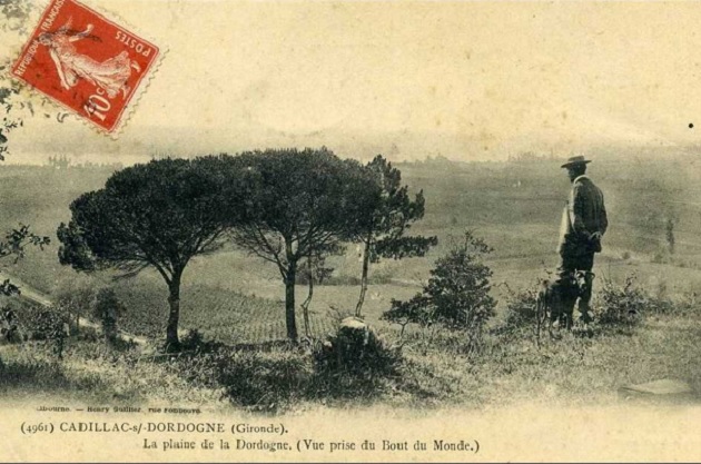 cadillac wine, bordeaux