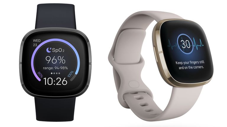 which one is better fitbit or apple watch