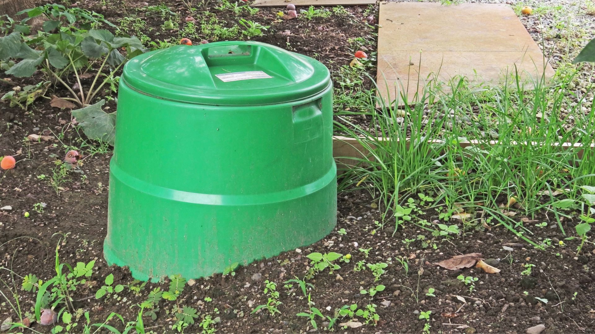picture of green composting bin in garden
