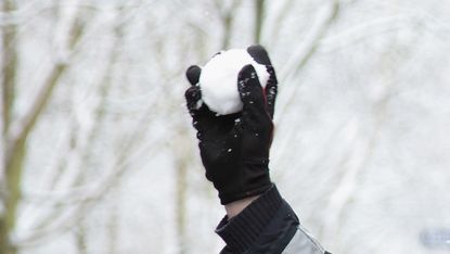 snowball.jpg
