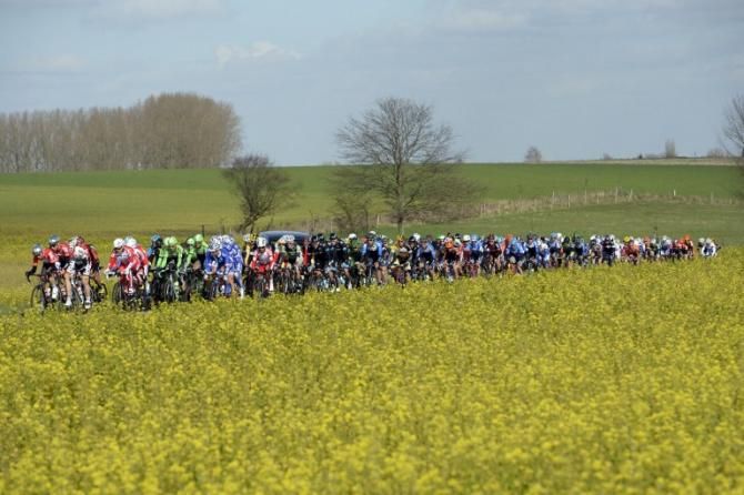 The peloton in Kuurne-Brussel-Kuurne