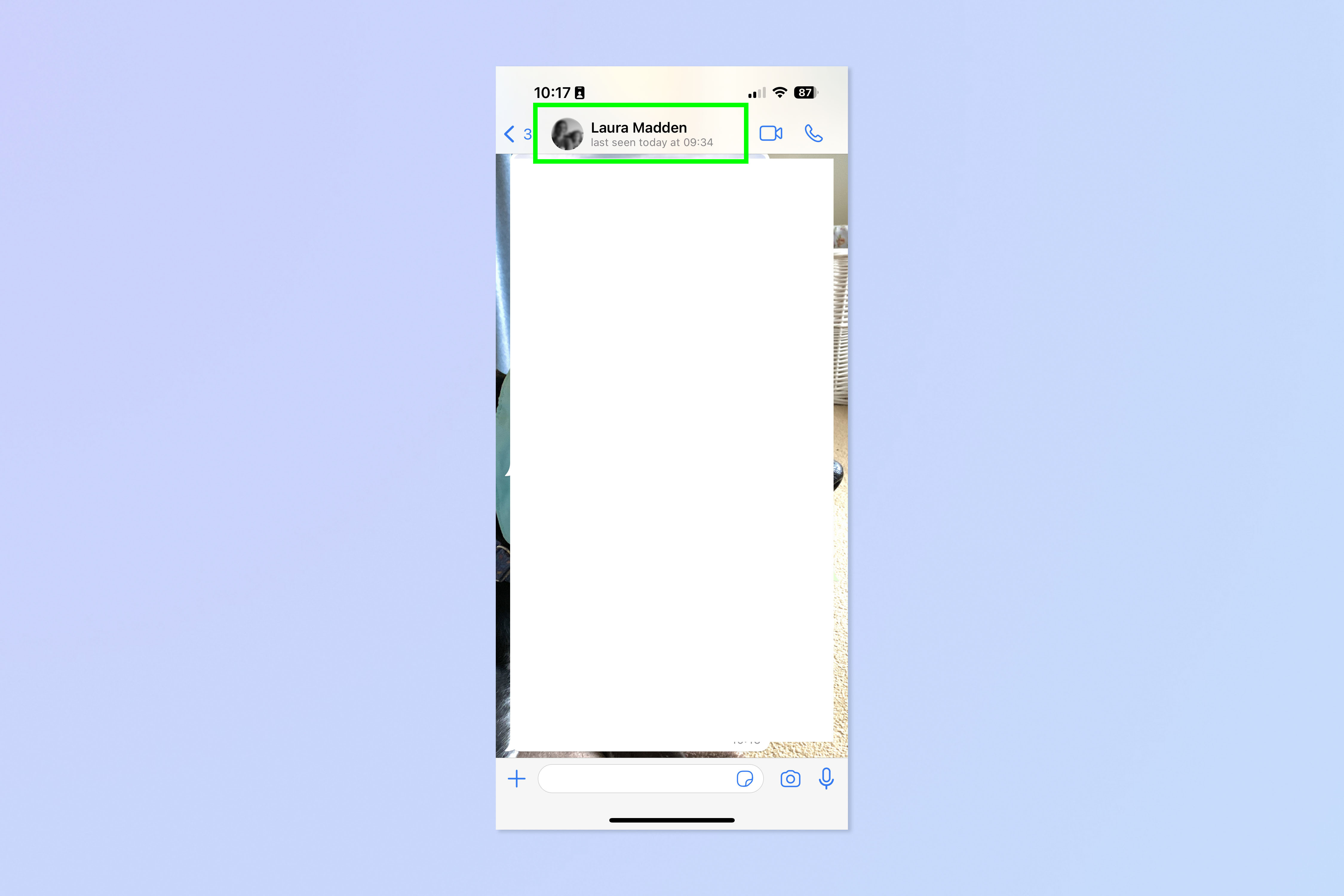 Скриншот, показывающий, как заблокировать отдельные чаты в WhatsApp.