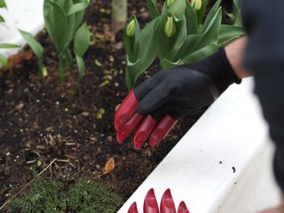 claw gardening gloves