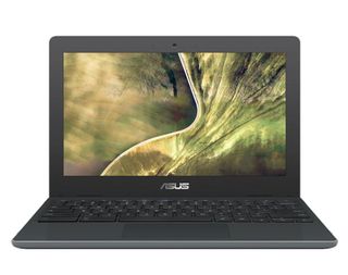 Asus Chromebook C204 laptop computer