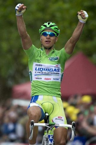 Peter Sagan (Liquigas-Cannondale) wins stage 3 of the Tour de France