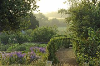 Pear tunnel — The garden at Banks Fee, Gloucestershire