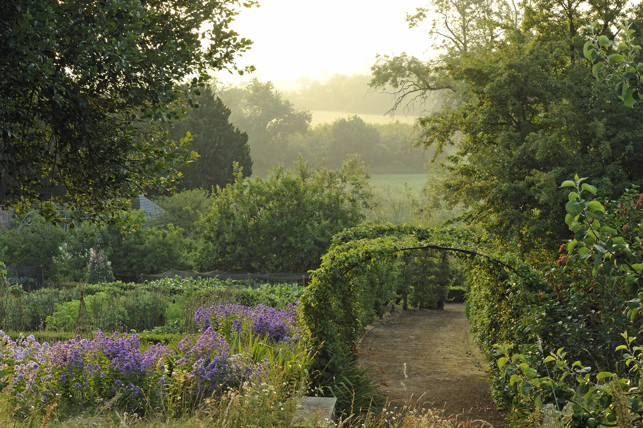 Pear tunnel — The garden at Banks Fee, Gloucestershire