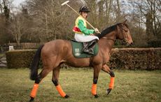 racing and polo