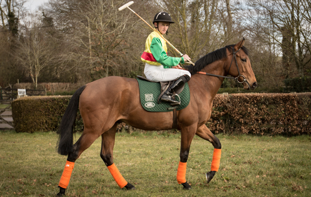 racing and polo