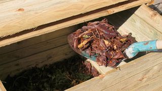 Composting leaves in a bin