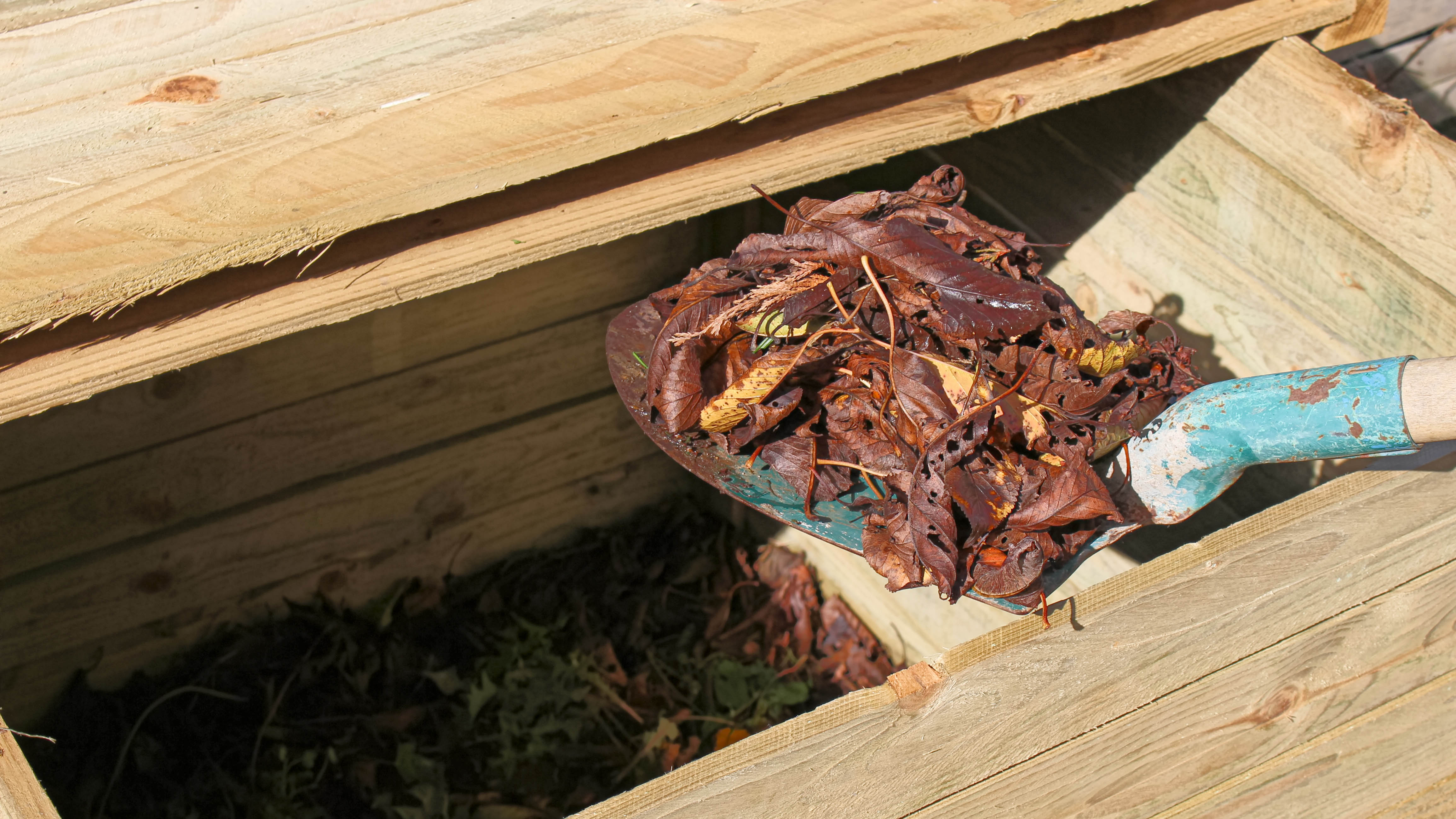 Composting leaves in a bin