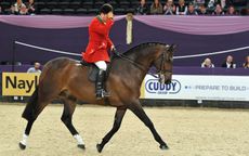 Vantage-Point-Champion-Hunter-of-the-Year-ridden-by-Robert-Walker-and-owned-by-Jill-Day