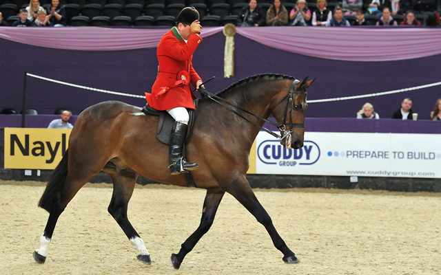 Vantage-Point-Champion-Hunter-of-the-Year-ridden-by-Robert-Walker-and-owned-by-Jill-Day