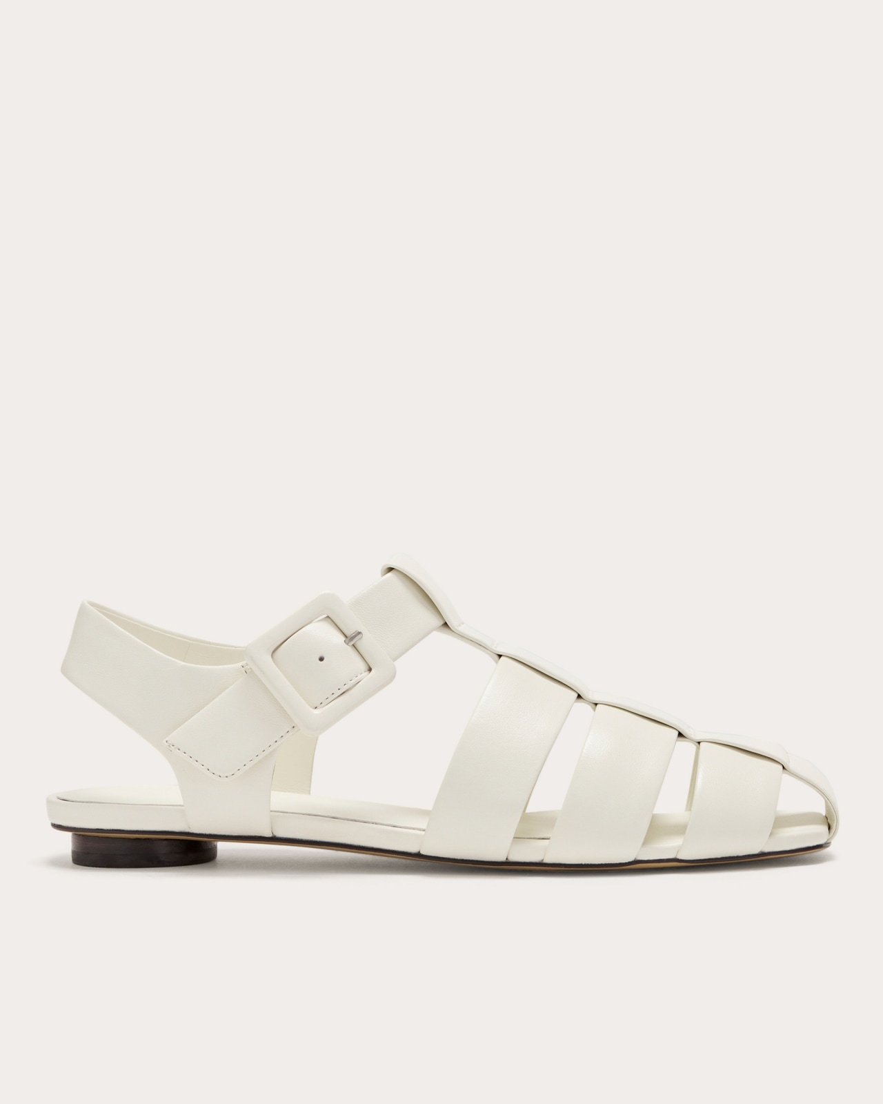 everlane, 
